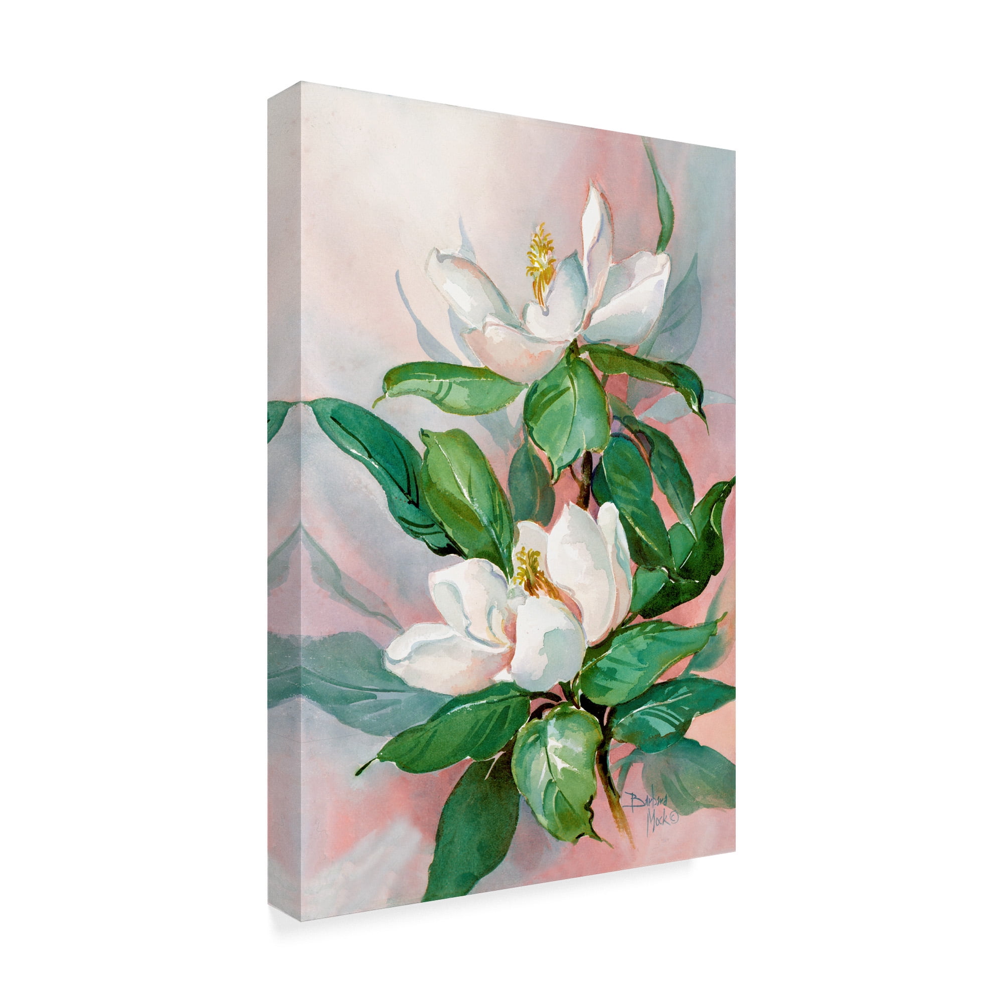 Trademark Fine Art 'Classic Magnolia' Canvas Art by Barbara Mock