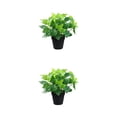 thumbnail image 2 of Moyic Plantas fáciles de cuidar - Amplia aplicación Sin olor Decoración Flores artificiales Plantas Plantas en maceta Lavabo negro grande 2Conjunto, 2 of 6