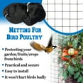 thumbnail image 2 of Sunny Bird Netting Net For Bird Poultry Avaiary Game Pens Black Mesh-50' X 50', 2 of 7
