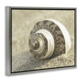 thumbnail image 3 of Stupell Industries Neutral Tone Seashell Animals Painting Gray Floater Framed Canvas Art Print Wall Art, 25 x 31, 3 of 9