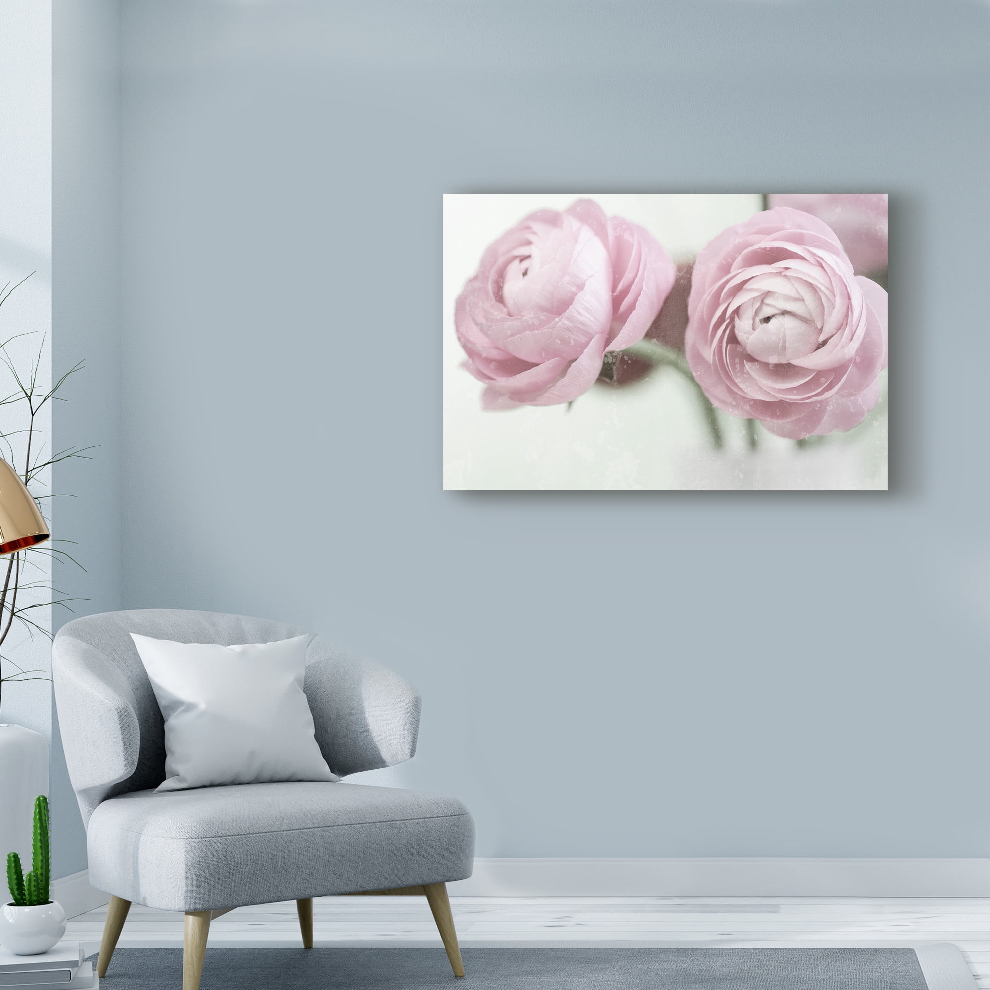 Trademark Fine Art '2 Pink Ranunculus' Canvas Art by Tom Quartermaine