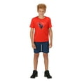 thumbnail image 2 of Regatta Boys/Girls Sorcer II Shorts, 2 of 5