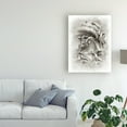 thumbnail image 3 of Trademark Fine Art 'Frieze Study II' Canvas Art by Ethan Harper, 3 of 3