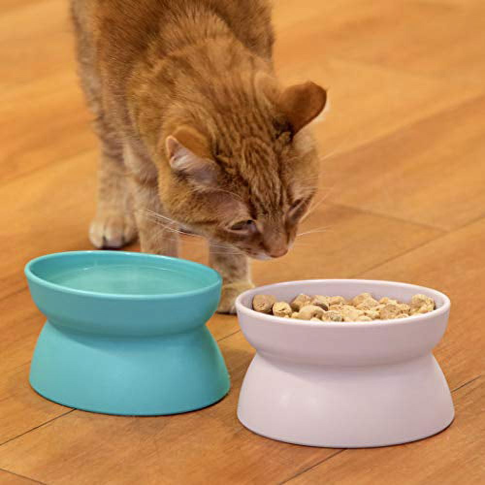 Kitty City Raised Cat Bowls, 2 Pack, Light Pink and Teal