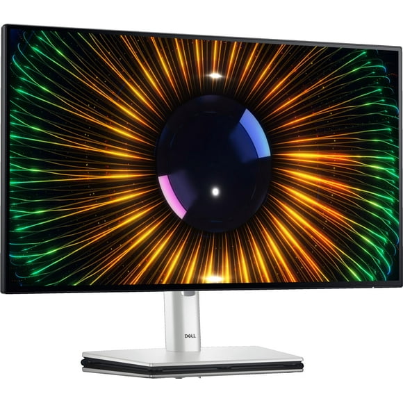 Dell UltraSharp 24 Monitor - U2424H