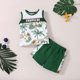 thumbnail image 2 of Ropa Para Bebés, Ropa Para Niños Pequeños, Chaleco De Verano, Top Estampado, Pantalones Cortos De Color Sólido, Conjunto De Dos Piezas Verde Odeerbi LM103-10504, 2 of 9