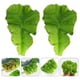 thumbnail image 2 of 2 piezas Modelo de vegetales falsos decores de hojas de vegetales decorativos Modelos de hojas de vegetales artificiales, 2 of 6