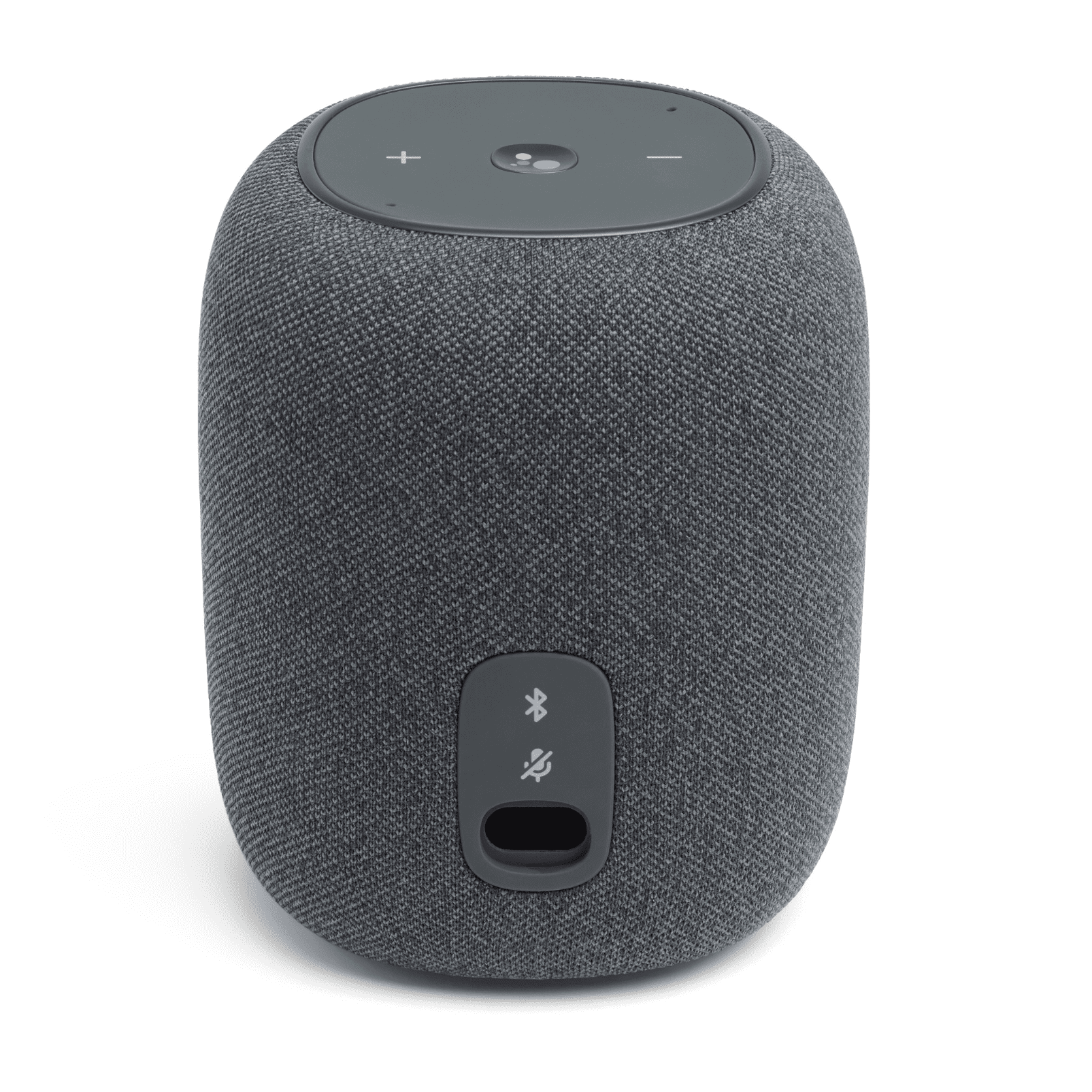 JBL Link Music Wi-Fi Portable Speaker, Gray