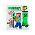 thumbnail image 3 of MINECRAFT SET PIJAMA MANGA CORTA, 3 of 3