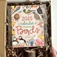 thumbnail image 2 of 2025 A Calendar of Uncommon Birds - Bird Watcher Monthly Wall Calendar Paper Calendar Organizing & P, 2 of 5
