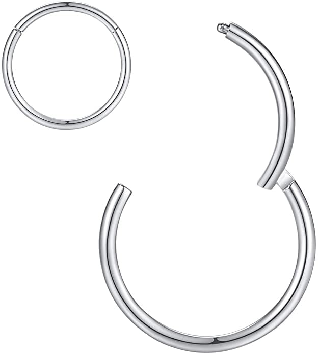 ORANGELOVE Hypoallergenic Nose Rings 20G 18G 16G 14G 12G 10G 8G 316l Surgical Steel Septum Jewelry Hinged Segment Ring Body Piercing Nose Hoop Lip Rings Nose Helix Cartilage Rook Earrings 
