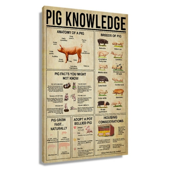 Vintage Pig Wall Art Knowledge Poster Animal Wall Art Canvas Picture Print Artwork For Home Unframed 12x18 in