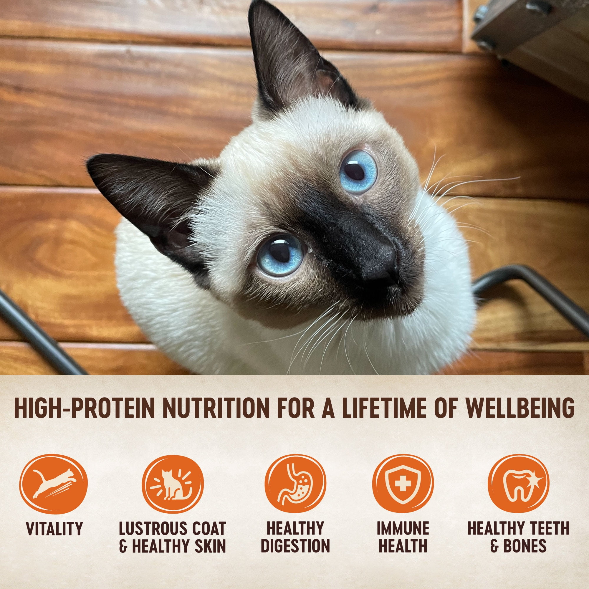 Wellness CORE Signature Selects Grain Free Canned Cat Food