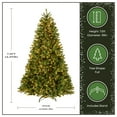 thumbnail image 6 of National Tree Company 7.5 ft Pre-Lit Downswept Douglas Fir Full Artificial Christmas Tree, 750 Clear Lights, 1867 Tips, Includes Stand, Green, 6 of 8