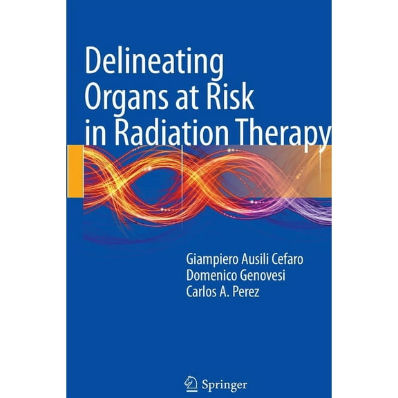 Delineating Organs at Risk in Radiation Therapy, (Paperback)