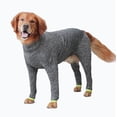 thumbnail image 3 of Mono para perro, traje de cobertizo, mallas de recuperación de cirugía de mascotas de cobertura total para usar después de la cirugía, 3 of 5
