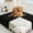 Black, variant on Pet Furniture Cover for Blanket for Dogs and Cats Sofa Couch Protector Large Washable Pet Bed 29x76cm Durable Polyester TPR Comfort for Indoor Use