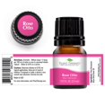 thumbnail image 4 of Plant Therapy Essential Oils Rose Otto 100% Pure, 4 of 4