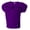 PURPLE, variant on Drop Ship Men's Drills Polyester Mesh Practice Jersey - N4260