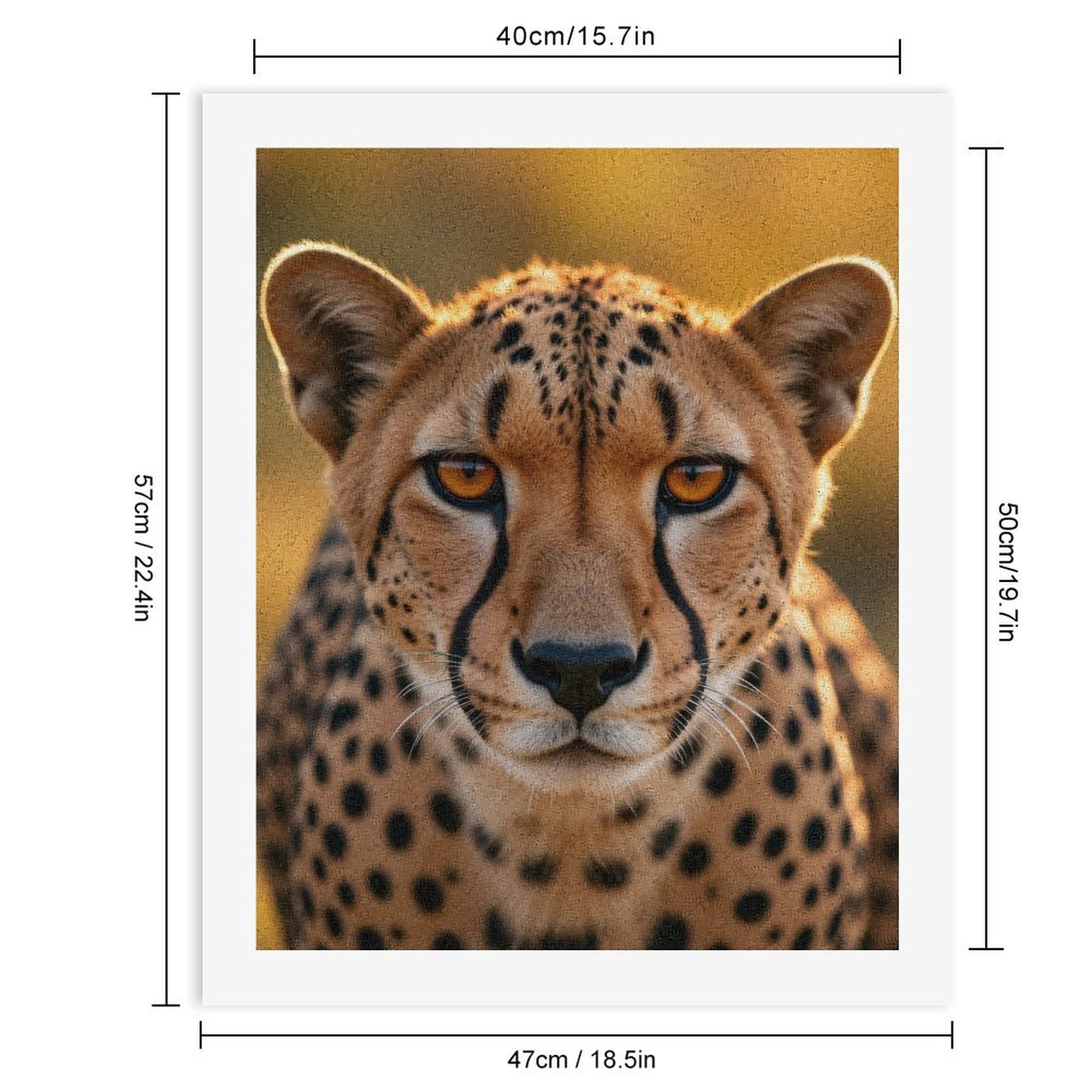 Paint by Numbers Kit for Adults, Cheetah Face Closeup Amber Eyes Paint by Numbers, Easy Paint by Numbers Kit for Adults Beginner, DIY Adult Paint by Number Kits on Canvas, Home Decor