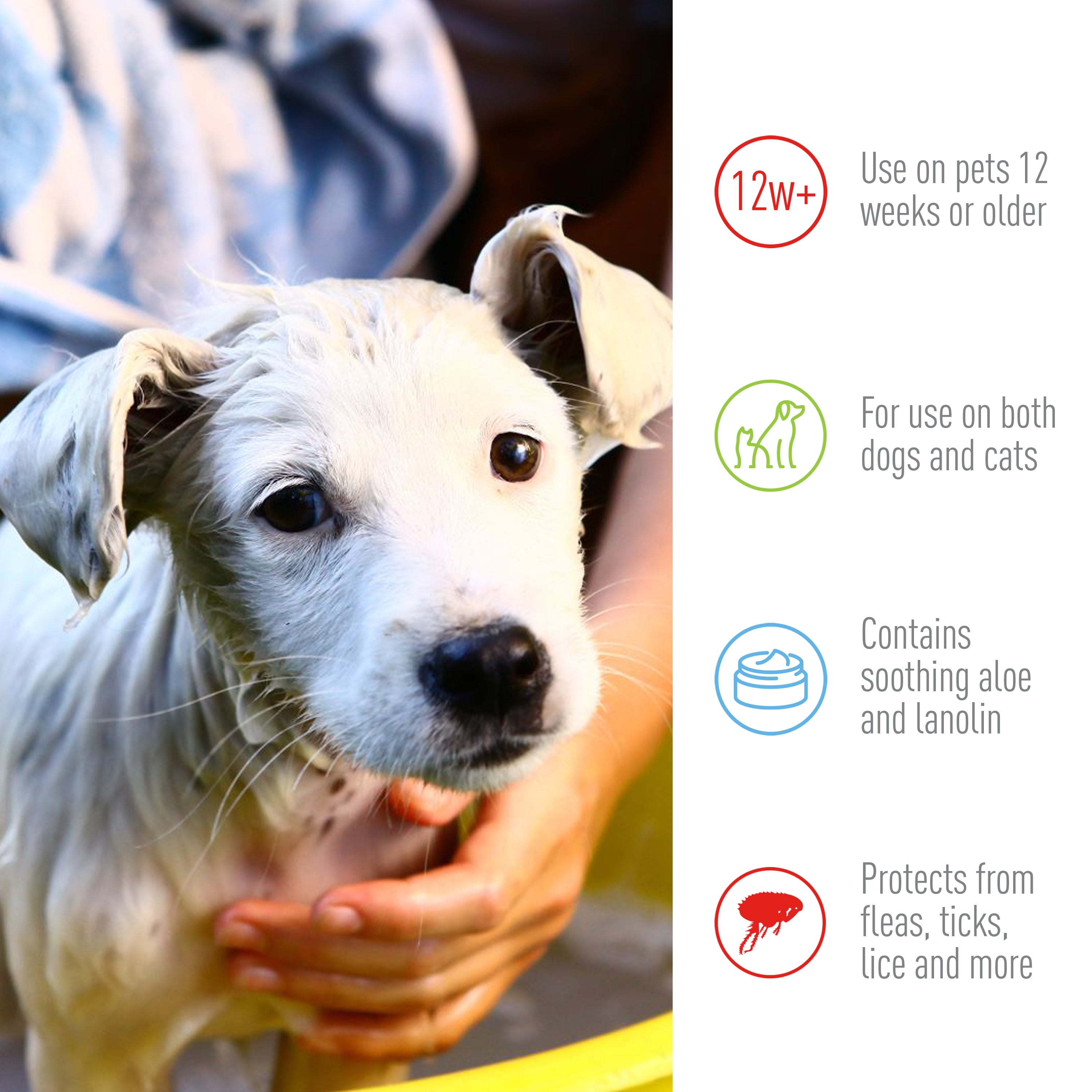 flea and tick dip for dogs walmart