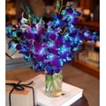 thumbnail image 2 of KaBloom : 20 Blue Dendrobium Orchid Without Vase, Next-Day Delivery, Gift for Every Occasion., 2 of 4