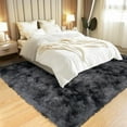 thumbnail image 2 of Area Rugs 4x6 Rug for Bedroom, Fluffy Washable 4 x 6 Dorm Rugs, Plush Fuzzy Shaggy Furry Non-Slip Modern Soft Carpet for Living Room Playroom Kids Room Aesthetic Rug, Black and Dark Gray, 2 of 16