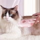 thumbnail image 3 of Peine Aseo para Eléctrico Mudar Gatos Con Puerto Pulverización Masaje, 3 of 9