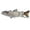 C, variant on Self Propelled Electronic Fishing 130mm Smart Swimbait With Rechargeable Motor & LED (3 Styles) Realistic Swimming Action For Catfish Baitcaster Combo compatible with Mach 2 Baitcaster Combo