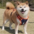 thumbnail image 6 of No Pull Dog Harness and Leash Set, Reflective Adjustable Pet Vest with Easy Control Handle, Breathable Padded Mesh Training Harness for Small Medium Large Dogs, 6 of 6