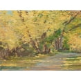 thumbnail image 2 of Harper, Ethan 24x19 White Modern Wood Framed Museum Art Print Titled - Fall Path I, 2 of 4