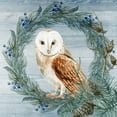 thumbnail image 2 of Allen, Kimberly 20x20 Gold Ornate Wood Framed with Double Matting Museum Art Print Titled - Winter Owl Blues 1, 2 of 4