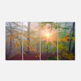 thumbnail image 2 of Morning in Misty Green Forest - Landscape Photo Canvas Art Print, 2 of 3