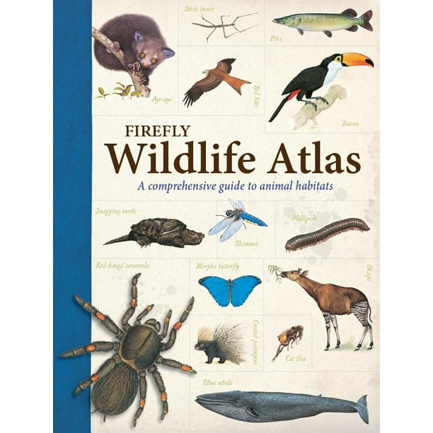 Firefly Wildlife Atlas : A Comprehensive Guide to Animal Habitats  (Paperback) 