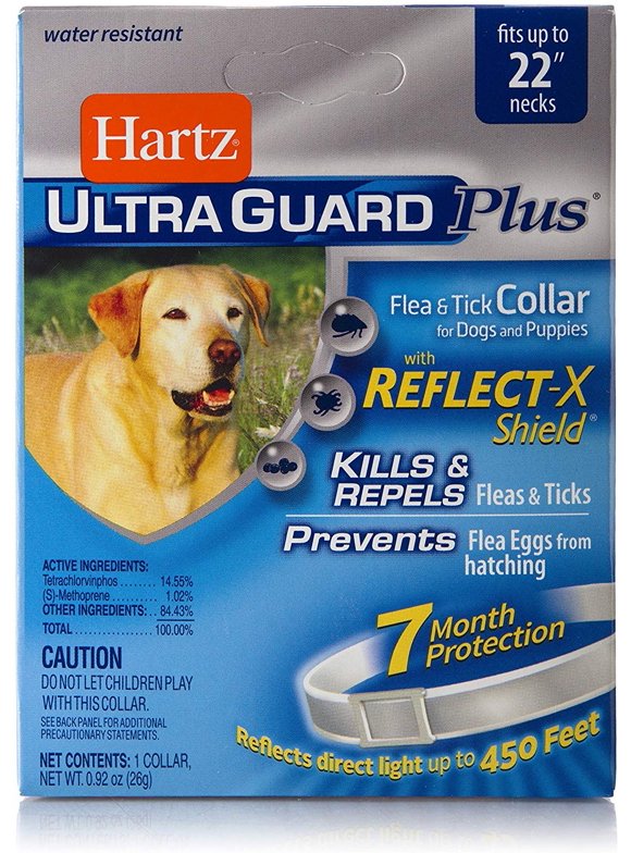 Dog Flea and Tick Collars in Dog Flea and Tick