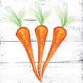 thumbnail image 3 of Seay, Anne 20x20 Black Modern Framed Museum Art Print Titled - Farm Fresh Carrots, 3 of 5