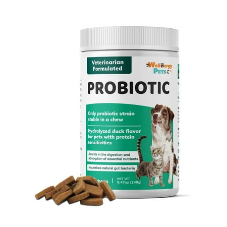 UPC: 0850013105090 | Wellnergy Probiotic & Prebiotics Dogs & Cats – Digestive Support for Diarrhea Constipation Upset Stomach Indigestion & Gas 160ct