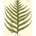 thumbnail image 2 of Vision Studio 15x18 Gold Ornate Wood Framed with Double Matting Museum Art Print Titled - Small Antique Fern VIII, 2 of 4