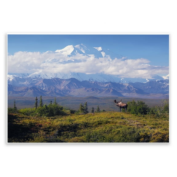 Stupell Industries Mountain Majesty Moose Landscape & Nature Photography Unframed Art Print Wall Art, 15 x 10