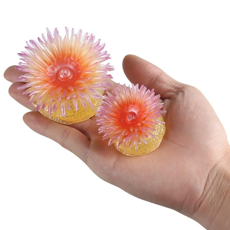 知育玩具 anemone Sea Creatures Sea Anemone Learning Toys Aquarium Landscape