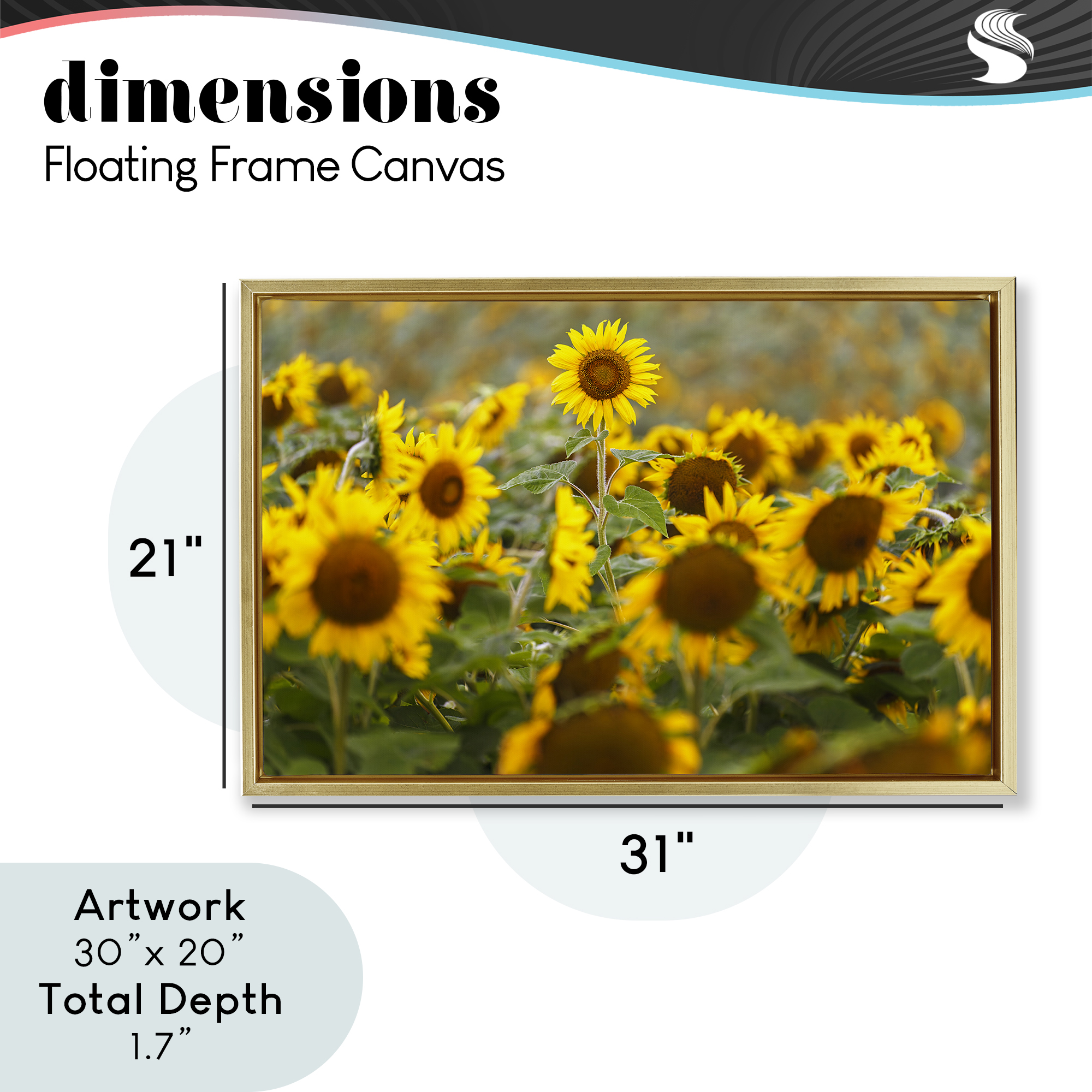 Central Sunflower in Meadow Gold Framed Floater Canvas Wall Art, design by Andy Crawford