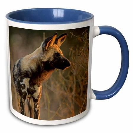 3dRose African Wild Dog, Lycaon pictus, Kruger National Park, South Africa. - Two Tone Blue Mug,