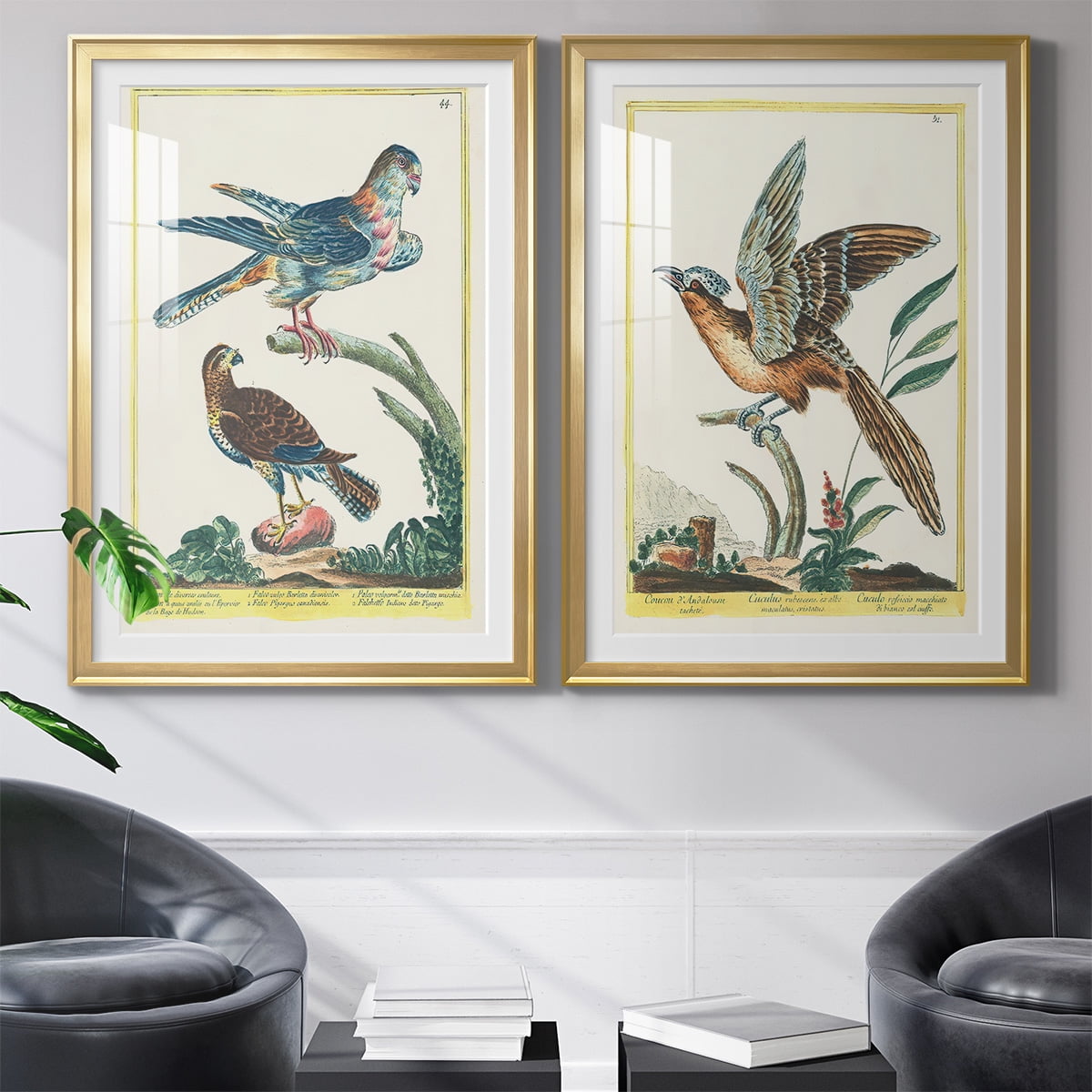 Wexford Home Pastel Birds V Premium Framed Print, 22.5" x 30.5" - Ready to Hang, Gold (Set of 2)