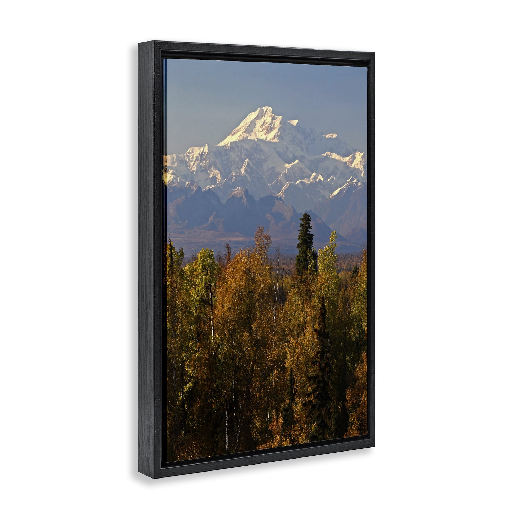Stupell Industries Danali Autumn Landscape Landscape & Nature Photography Black Floater Framed Canvas Art Print Wall Art, 21 x 31