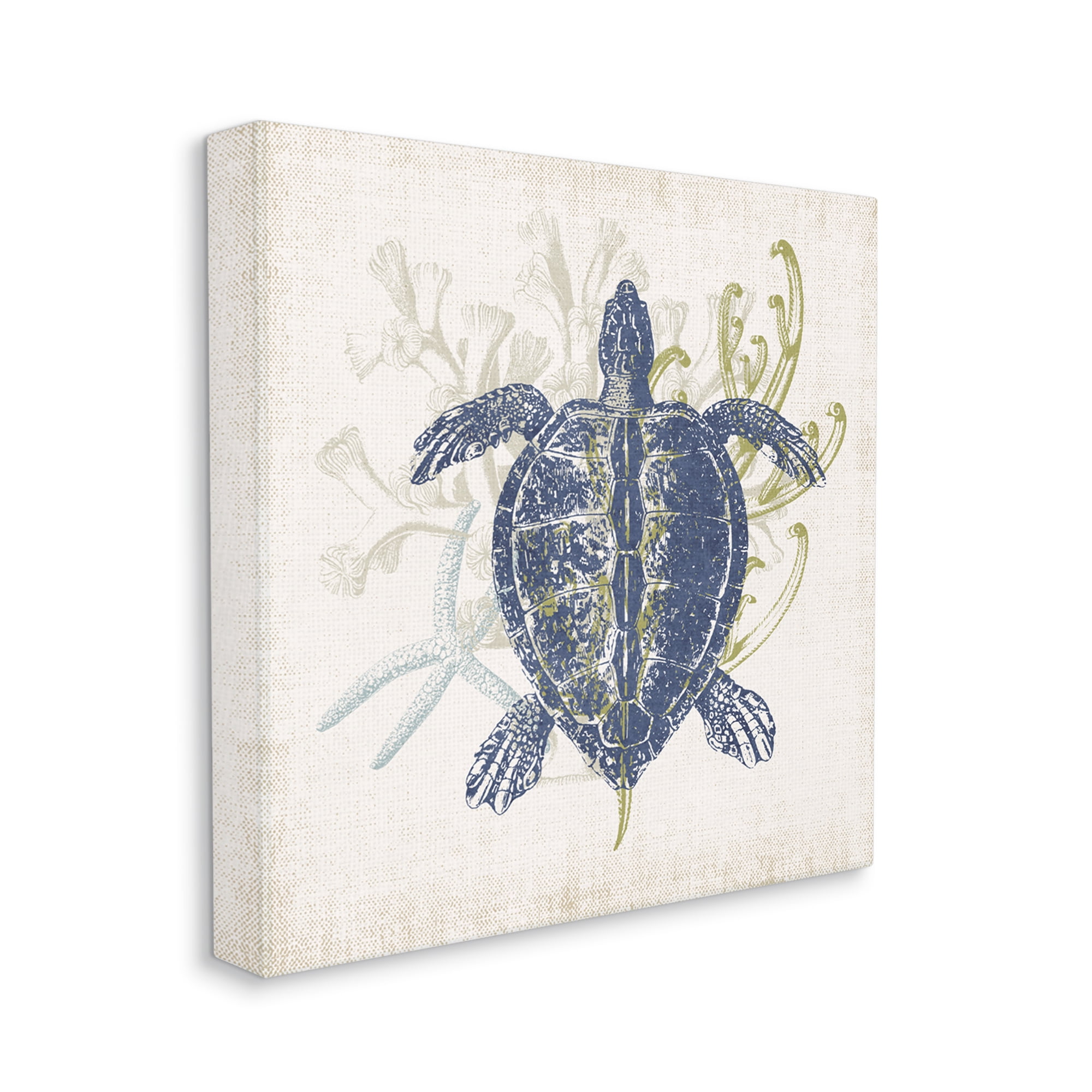 Stupell Industries Detailed Sea Turtle Layered Coral Aquatic Life Graphic Art Gallery Wrapped Canvas Print Wall Art, Design by Victoria Barnes