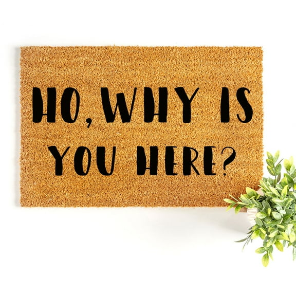 Doormat Ho, Why Is You Here? Welcome Mat Funny Outside Home Decor (18" x 30") #3359