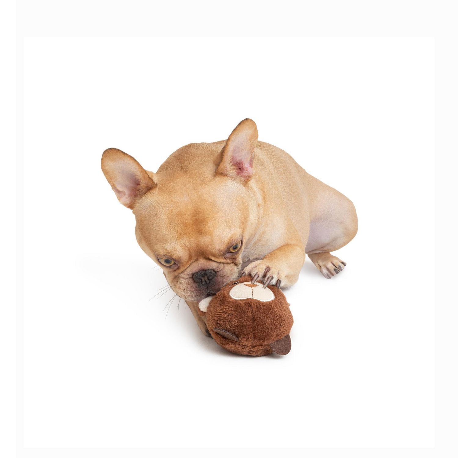 One Paw, Bear Ball Dog Toy, Plush