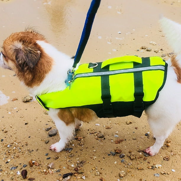 Walmart pet hotsell life jacket