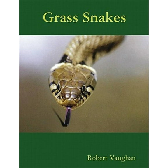 Grass Snakes (Paperback)