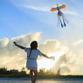 thumbnail image 4 of Large Phoenix Kite for Kids Adults Beginner, 100 x 71 Inch Single Line Colorful with Tail Kite with Winding Handle and Line Outdoor Beach Park Flying Games Activities Birthday Gift, 4 of 7